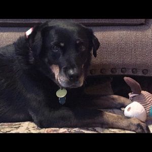 Meet your Posher, Stacia